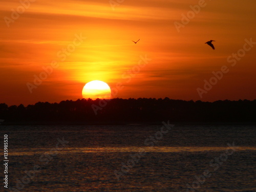 Edisto Beach Sunset © Lisa Neville Photos