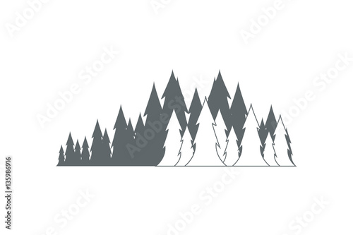 Pine forest  landscape vector 