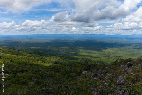 boundless expanse. view from mountains. Chiquitania. Bolivia