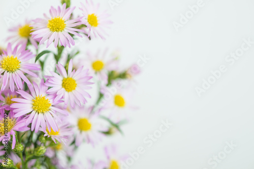 beautiful flowers background for your design with the selective