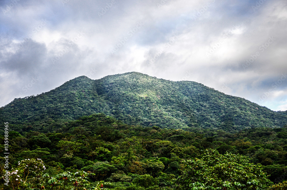Mountain background with trees, plants, green vegetation and clouds on the sky