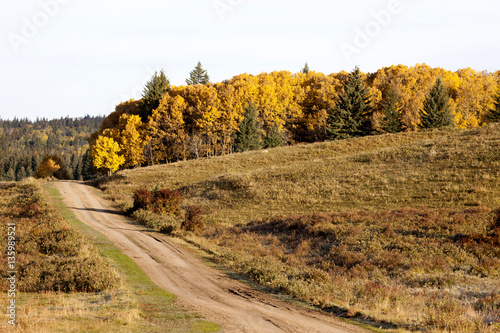 Autumn Colors Cypress Hills Canada