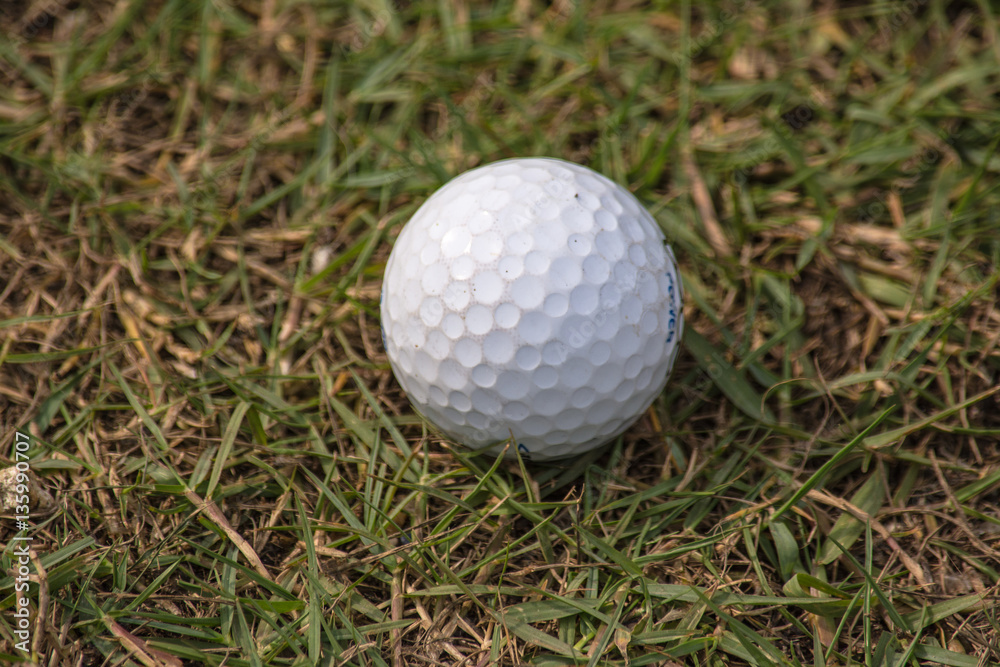 Golf ball in golf course the sport that play in the beautiful field. Golf ball in golf course the sport that play in the beautiful field.