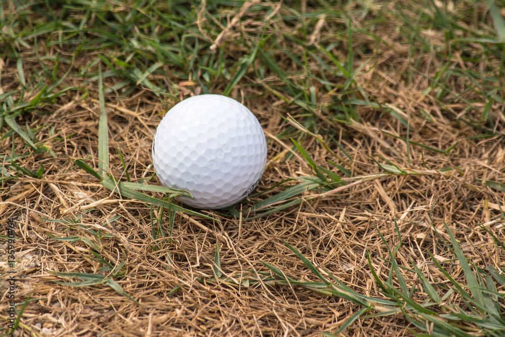 Golf ball in golf course the sport that play in the beautiful field. Golf ball in golf course the sport that play in the beautiful field.