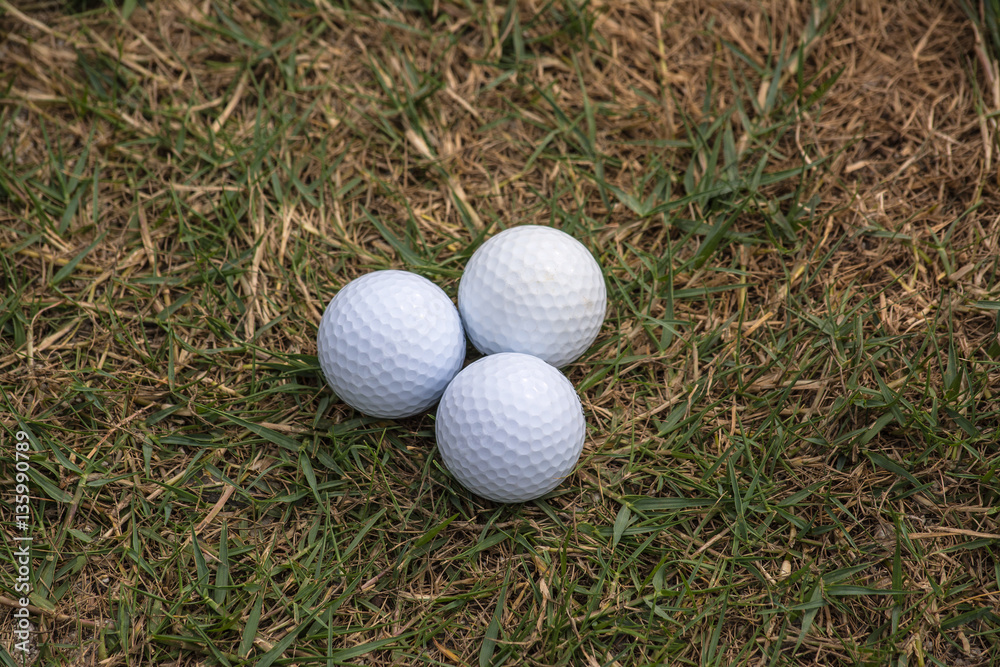 Golf ball in golf course the sport that play in the beautiful field. Golf ball in golf course the sport that play in the beautiful field.
