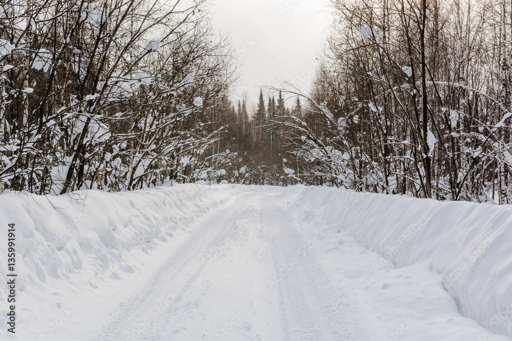 The road in the wood in the winter. The snow road in the winter wood. Russia, Siberia