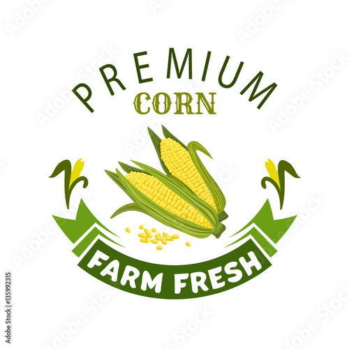 Corn cob vegetable vector icon or emblem