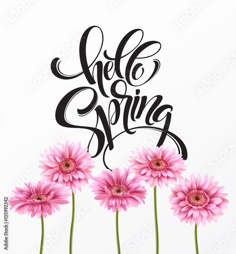 Gerbera Flower Background and Hello Spring Lettering. Vector Illustration