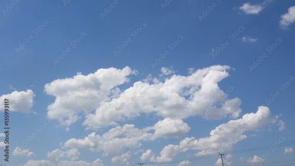 Fototapeta premium The clouds on the sky 