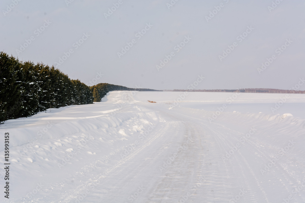The road in the wood in the winter. The snow road in the winter wood. Russia, Siberia The road in the wood in the winter. The snow road in the winter wood. Russia, Siberia