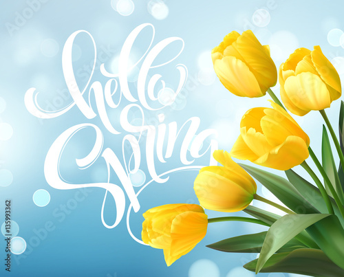 Hello Spring hand Lettering with tulip flower. Vector illustration