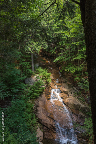 White Mountains