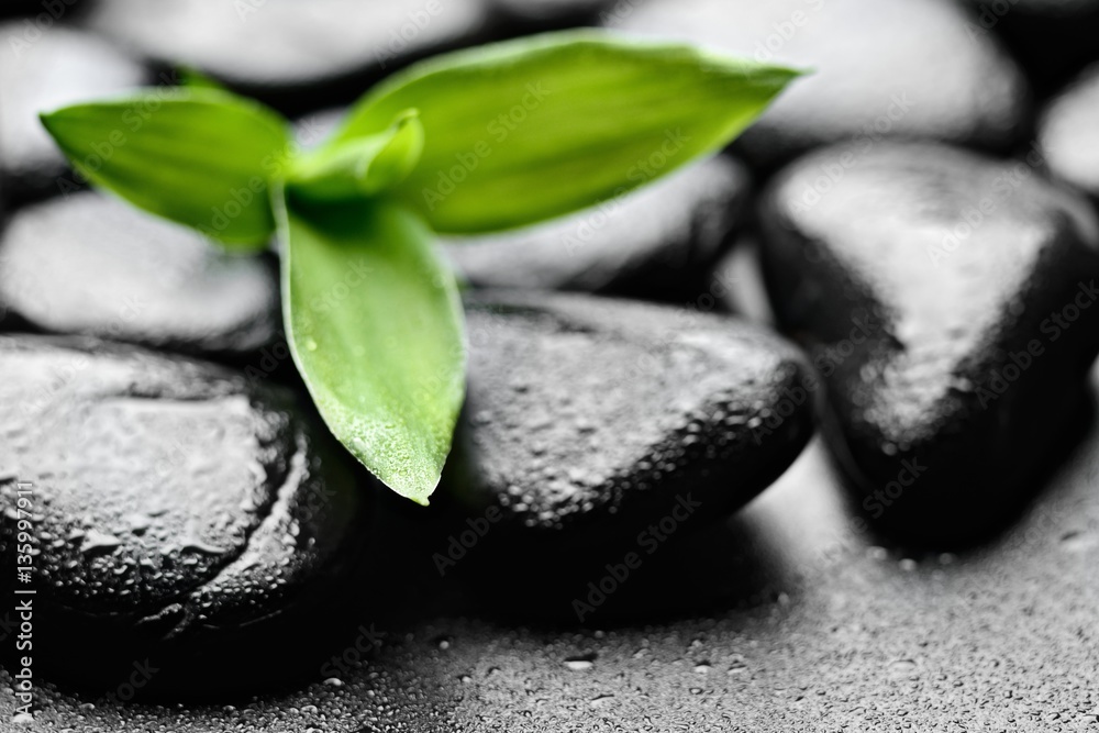 Fototapeta premium zen basalt stones and bamboo leaves