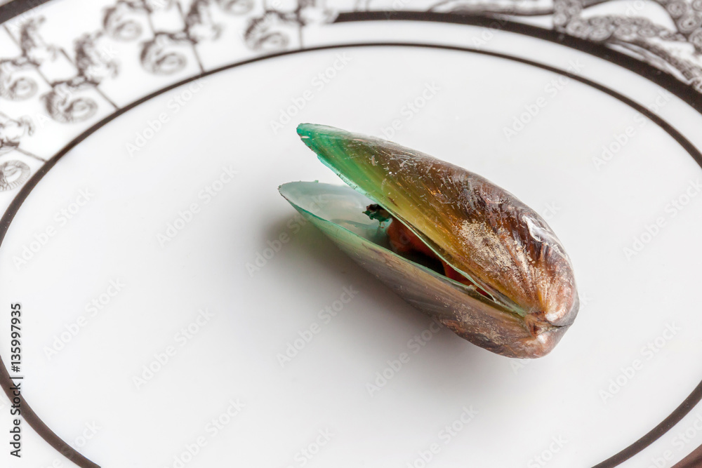 Boiled green mussel one piece served on luxury ceramic plate in Boiled green mussel one piece served on luxury ceramic plate in