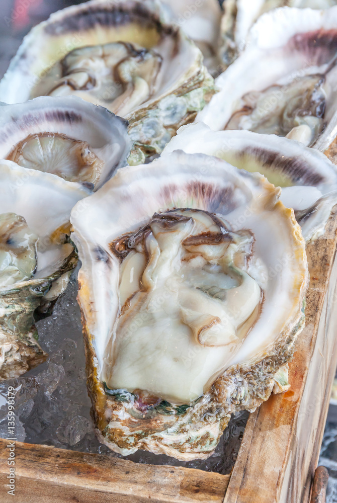 Opened raw fresh oysters served on wooden tray with ice. Opened raw fresh oysters served on wooden tray with ice.