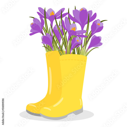 Vector illustration with flower pot