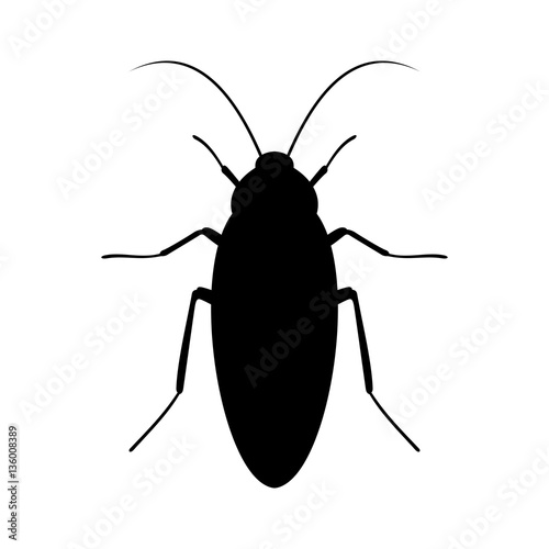 Cockroach