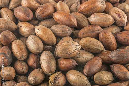 Natural Stack of Peacan Nuts Patterns and Textures photo