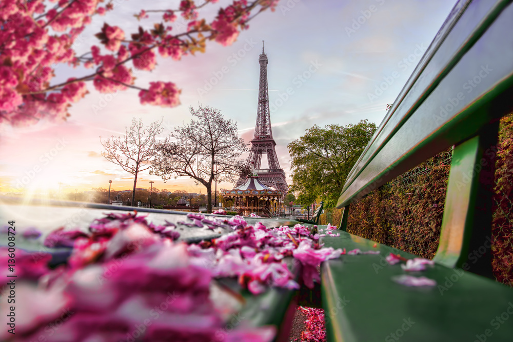 Fototapeta premium Eiffel Tower during spring time in Paris, France