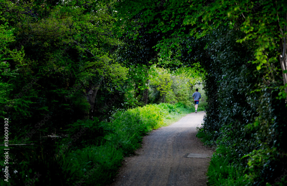 Young man jogging in park at water channels in Woking