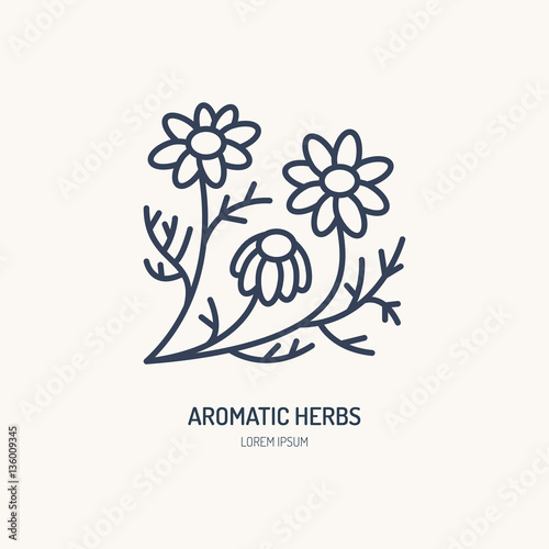 Chamomile vector line icon. Aromatic herbs logo, daisy chain sign. Linear illustration for natural camomile tea.