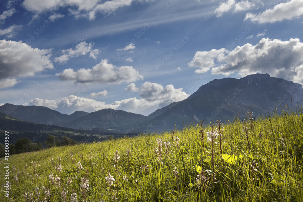 Fototapeta premium Frühling im Gailtal