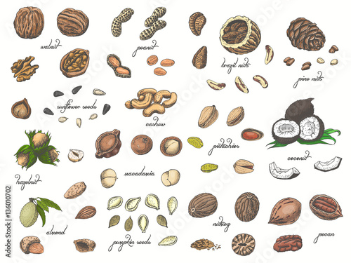 Big collection of isolated colored nuts and seeds on white background