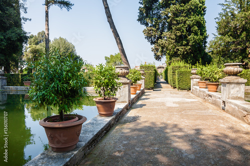 Range of plants and the pond at the garden of Villa d`Este, Tivoli near Roma, Lazio region, Italy.