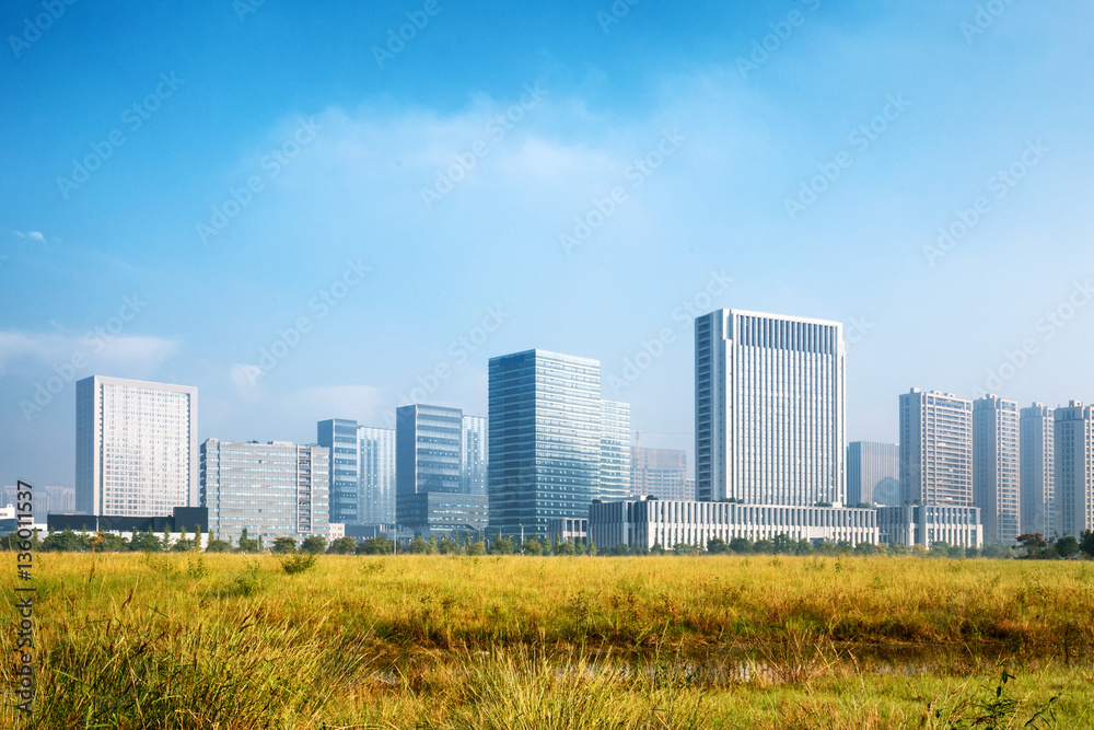 cityscape and skyline of modern city from empty meadow