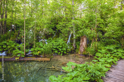 Plitvice lakes park in Croatia