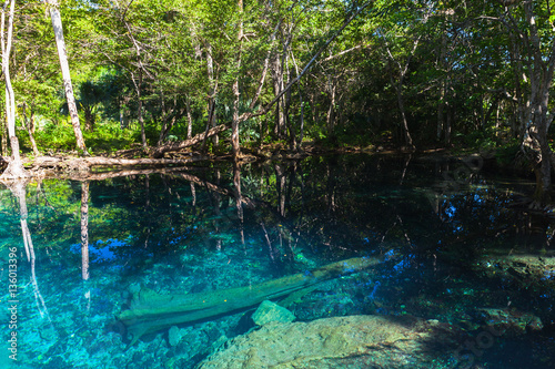 Deep blue lake in dark tropical forest