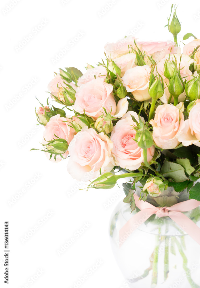 Bouquet of pink blooming fresh roses with buds in glass vase close up isolated on white background