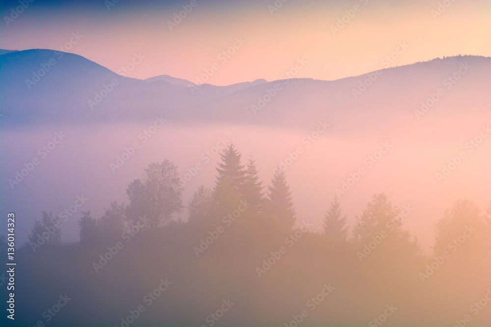 Dreamy carpathian valley