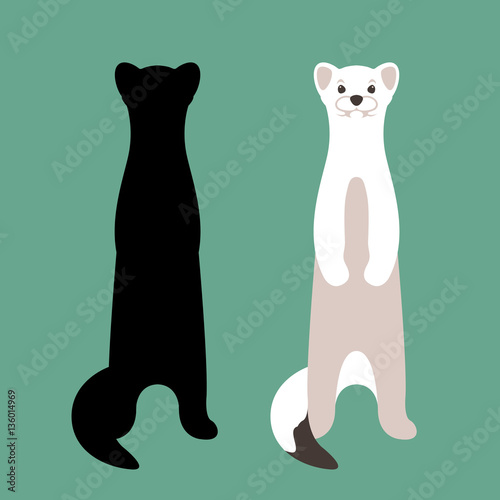 weasel vector illustration style Flat set silhouette