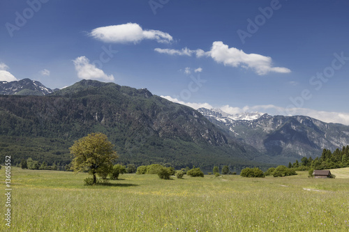 Am Wocheiner See