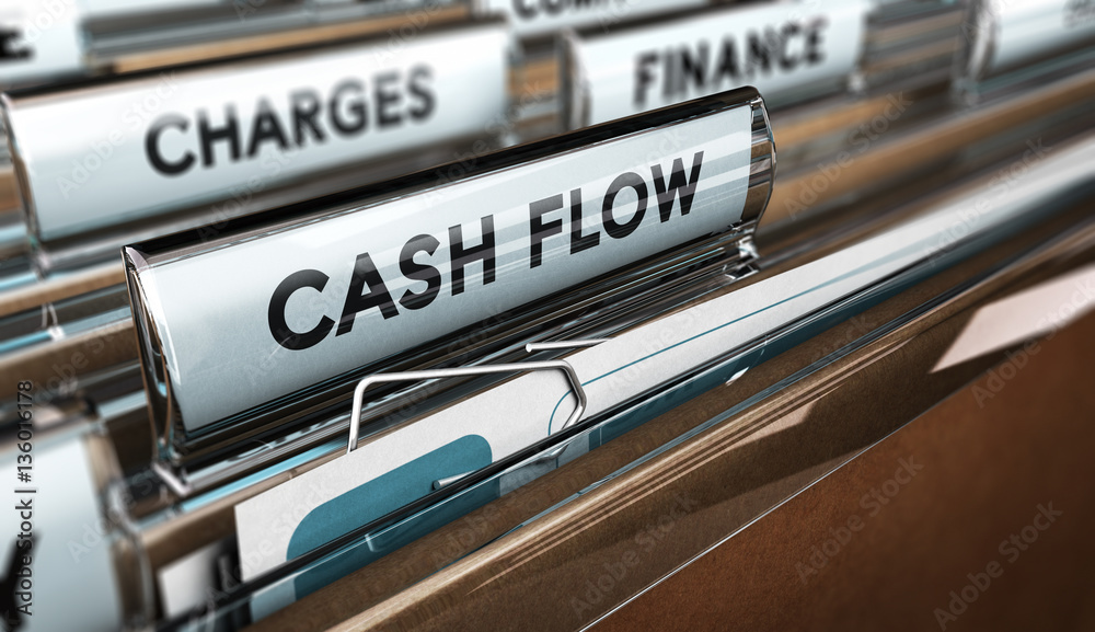 Фотография Company Cash Flow Statements