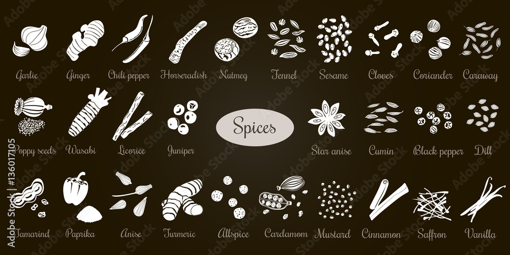 Fotografie Big set of simple flat culinary spices