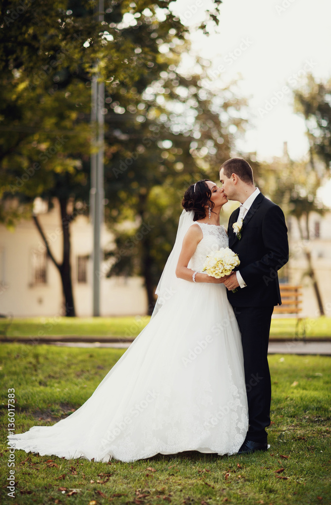 Kiss of the newlyweds in the sunny park