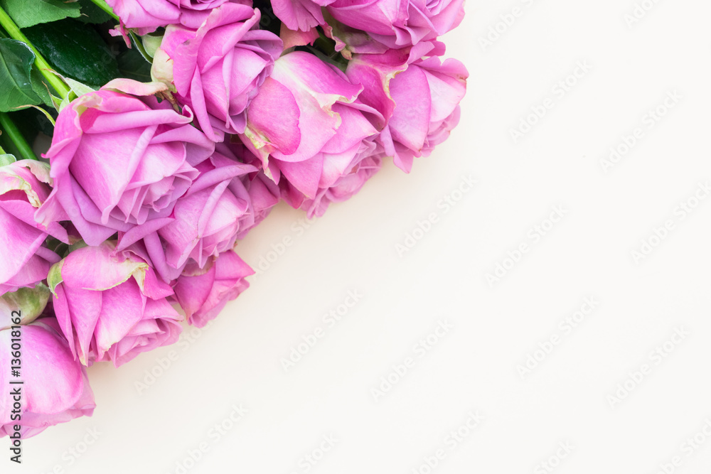 Valentines day violet fresh rose flowers border close up top view flat ly scene