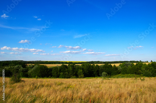 field and sky