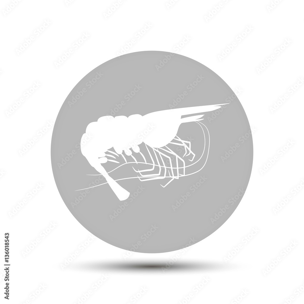 shrimp vector icon on gray background shrimp vector icon on gray background
