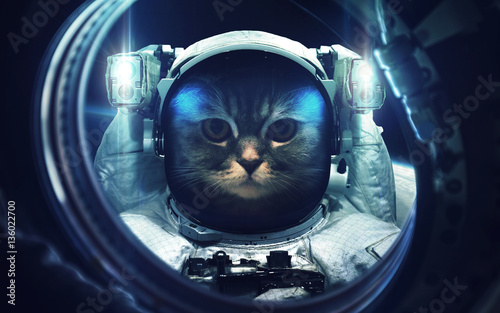 Naklejka na okno łazienkowe Kot w kosmosie