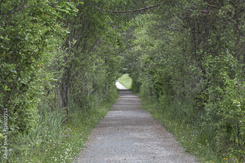 Wanderweg am Pressegger See