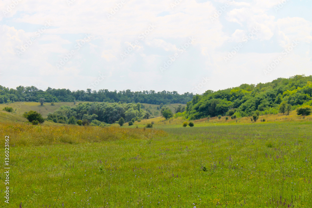 Summer landscape with meadow, trees and hills Summer landscape with meadow, trees and hills