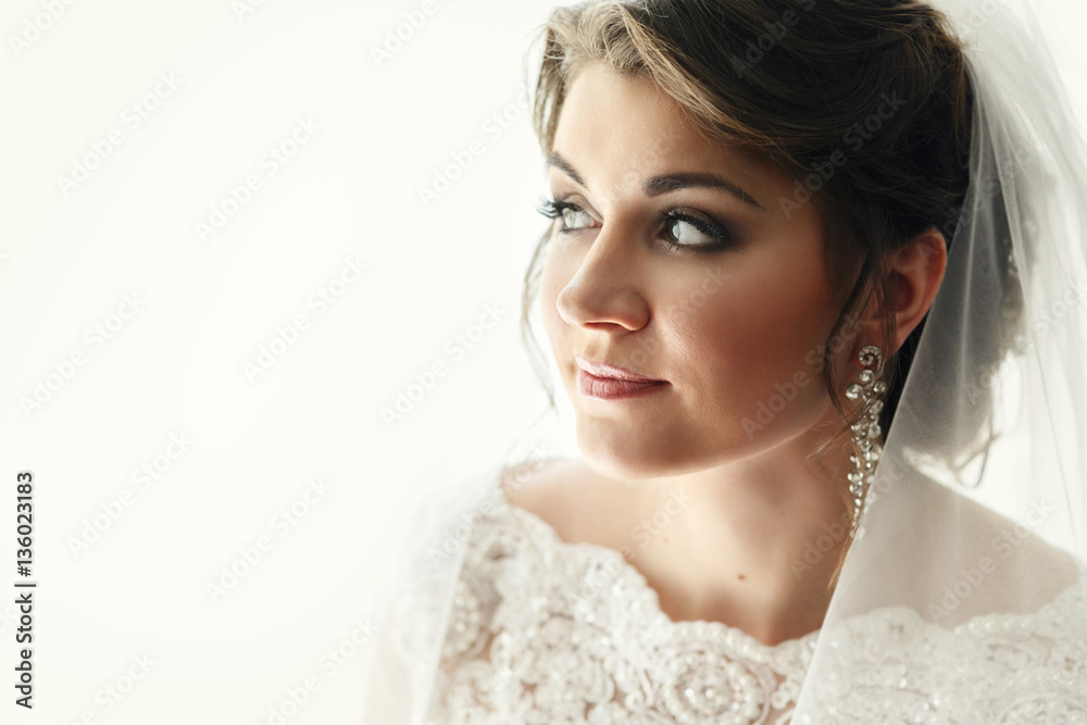 Stunning brunette bride with plump cheeks looks far away Stunning brunette bride with plump cheeks looks far away