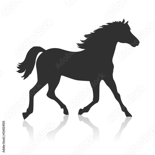 Horse Vector Illustration in Flat Design