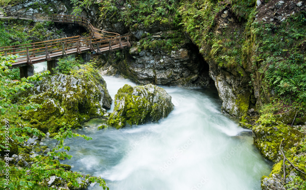 Scenic Vintgar gorge in Slovenia Scenic Vintgar gorge in Slovenia