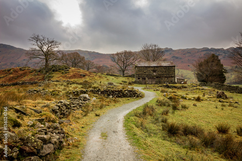 Footpath in the Langdale Valley heading towards Oak Howe in the Lake District  England  UK.