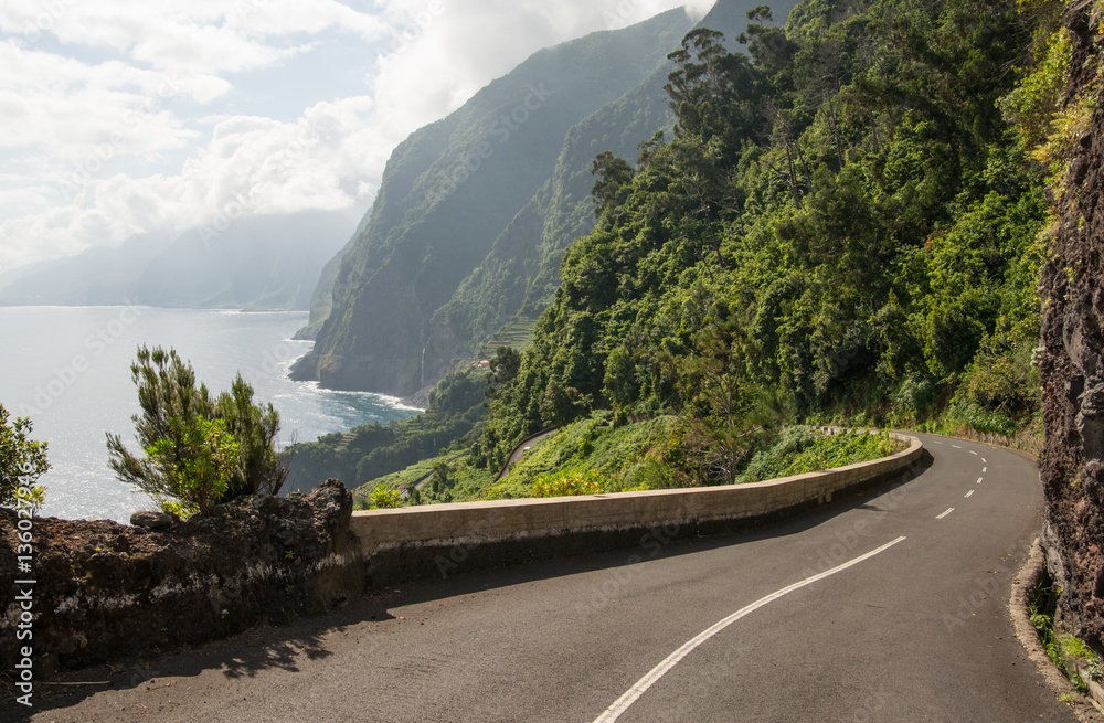 Evergreen landscape of Madeira island, Portugal Evergreen landscape of Madeira island, Portugal