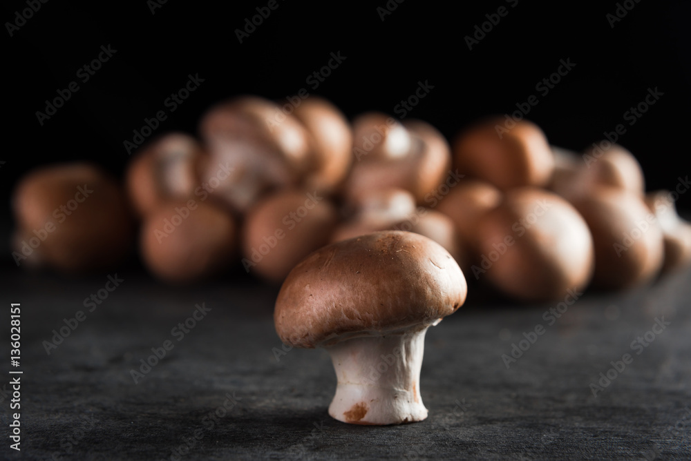 Mushrooms over dark background